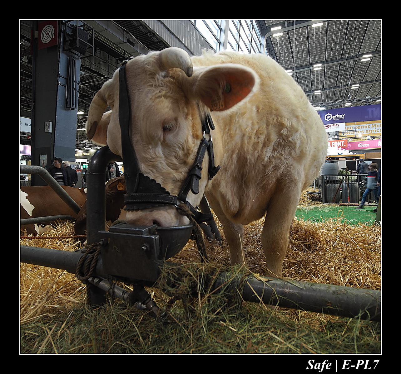 2020 - 02 - Salon agriculture 53